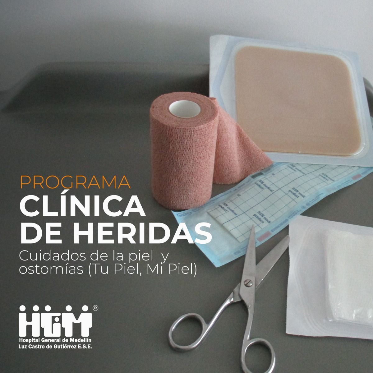 Programa Cl Nica De Heridas