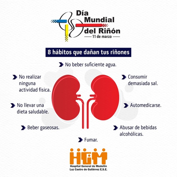 Día mundial del Riñón