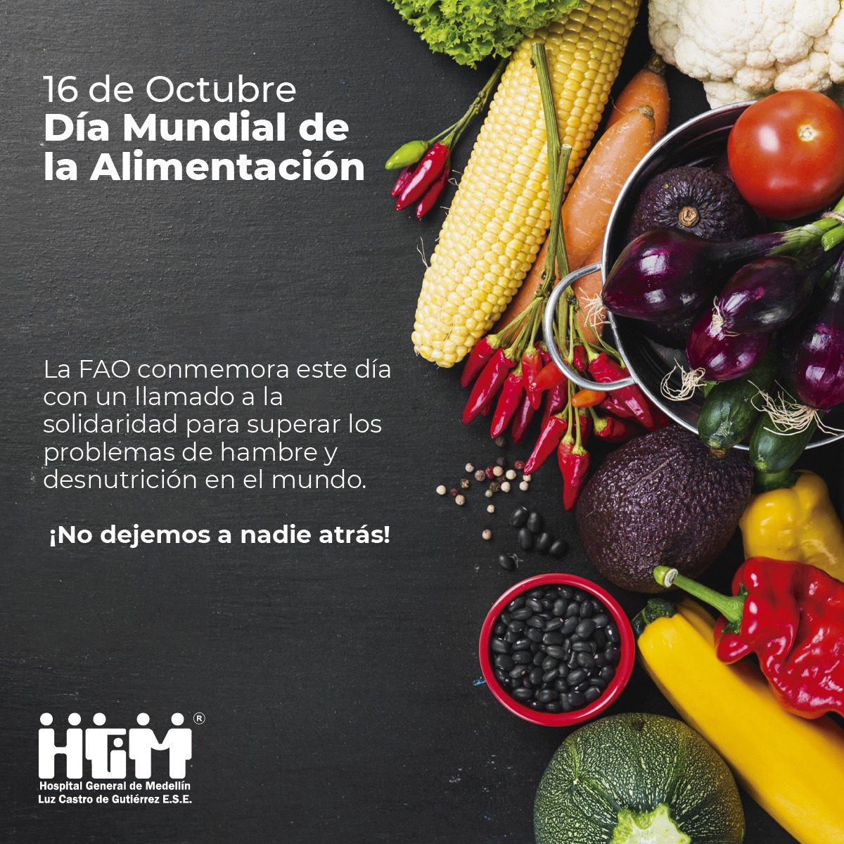 Día Mundial De La Alimentación