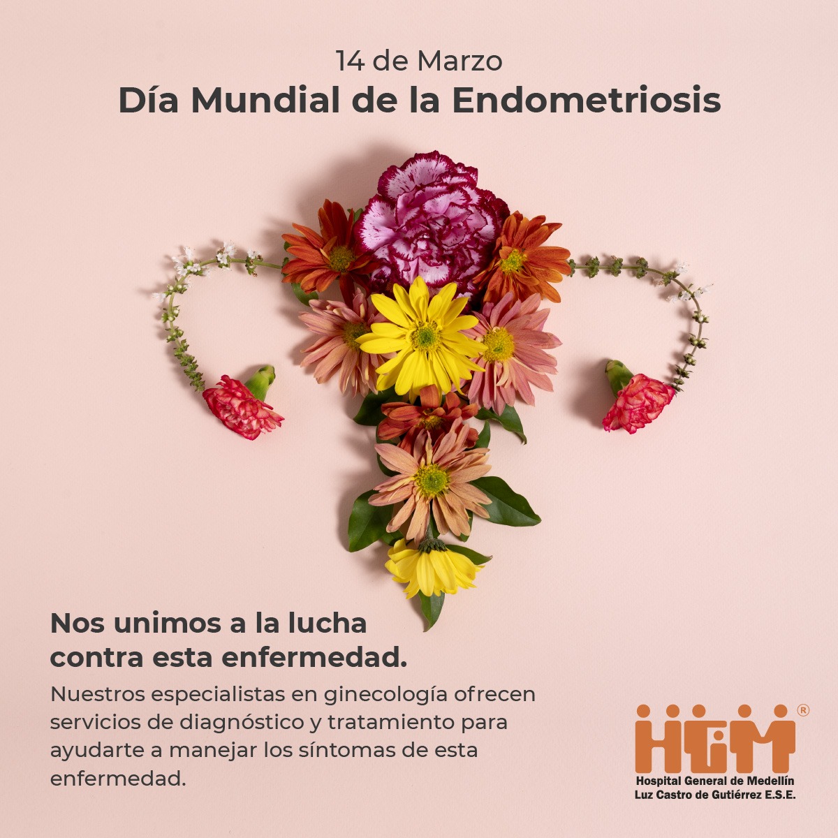 Día Mundial de la Endometriosis