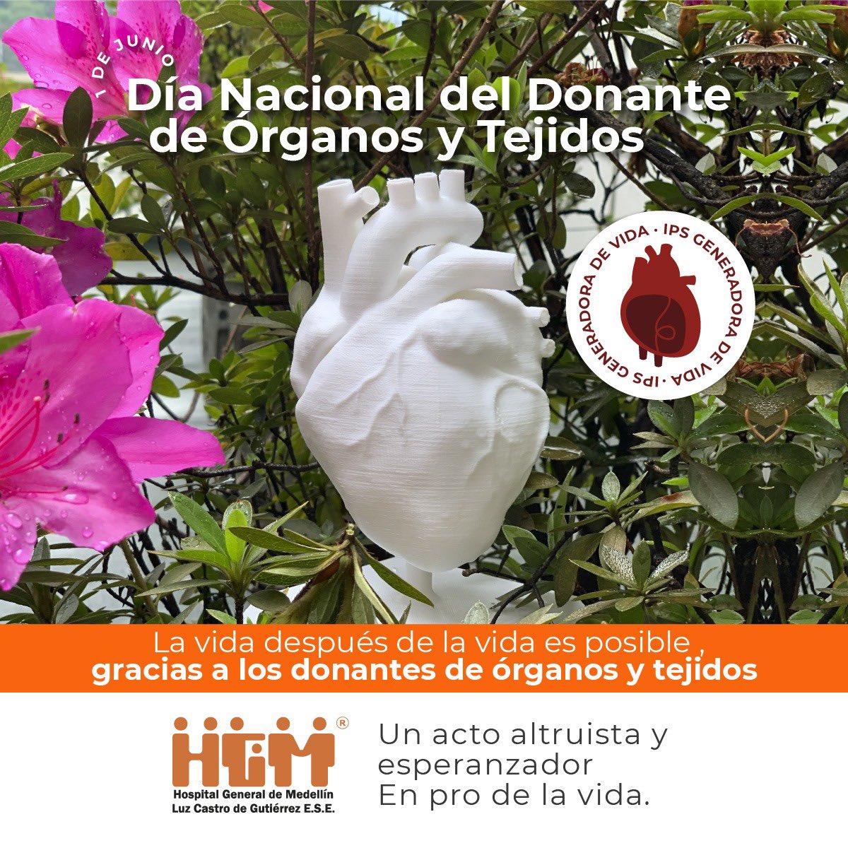 De Junio D A Nacional Del Donante De Organos Y Tejidos