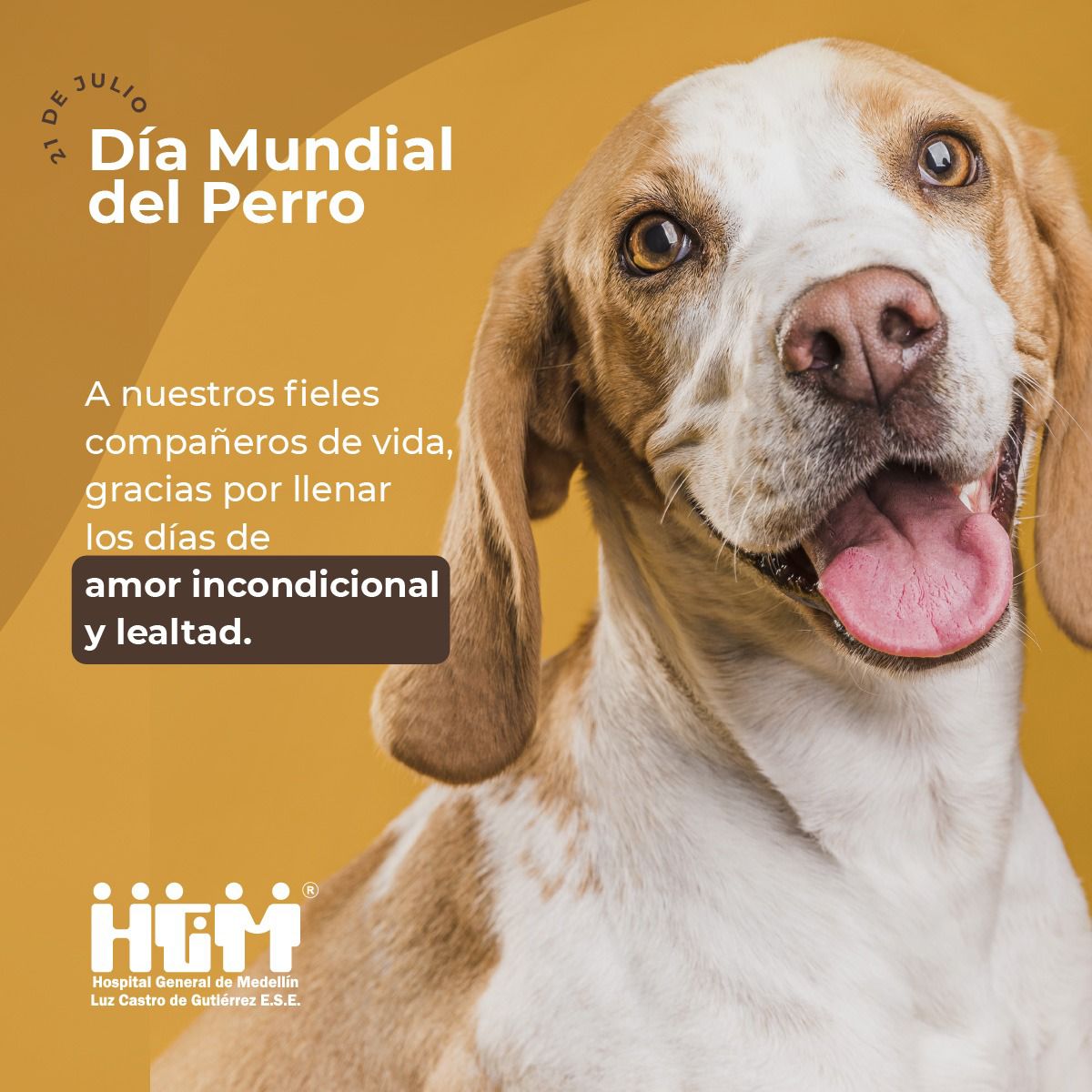 Día Mundial del Perro